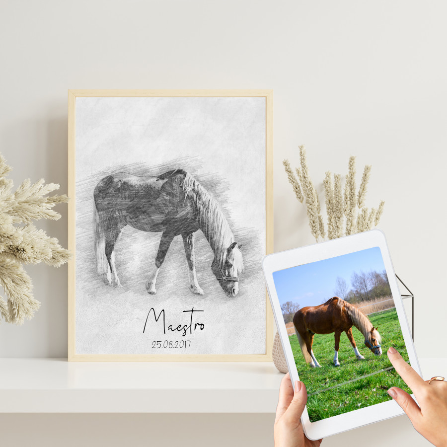 Digitale Bleistift Zeichnung von deinem Haustier | Skizze vom Foto | Individuelle Bleistiftskizze | Hund | Katze | Pferd | Tier | Bild